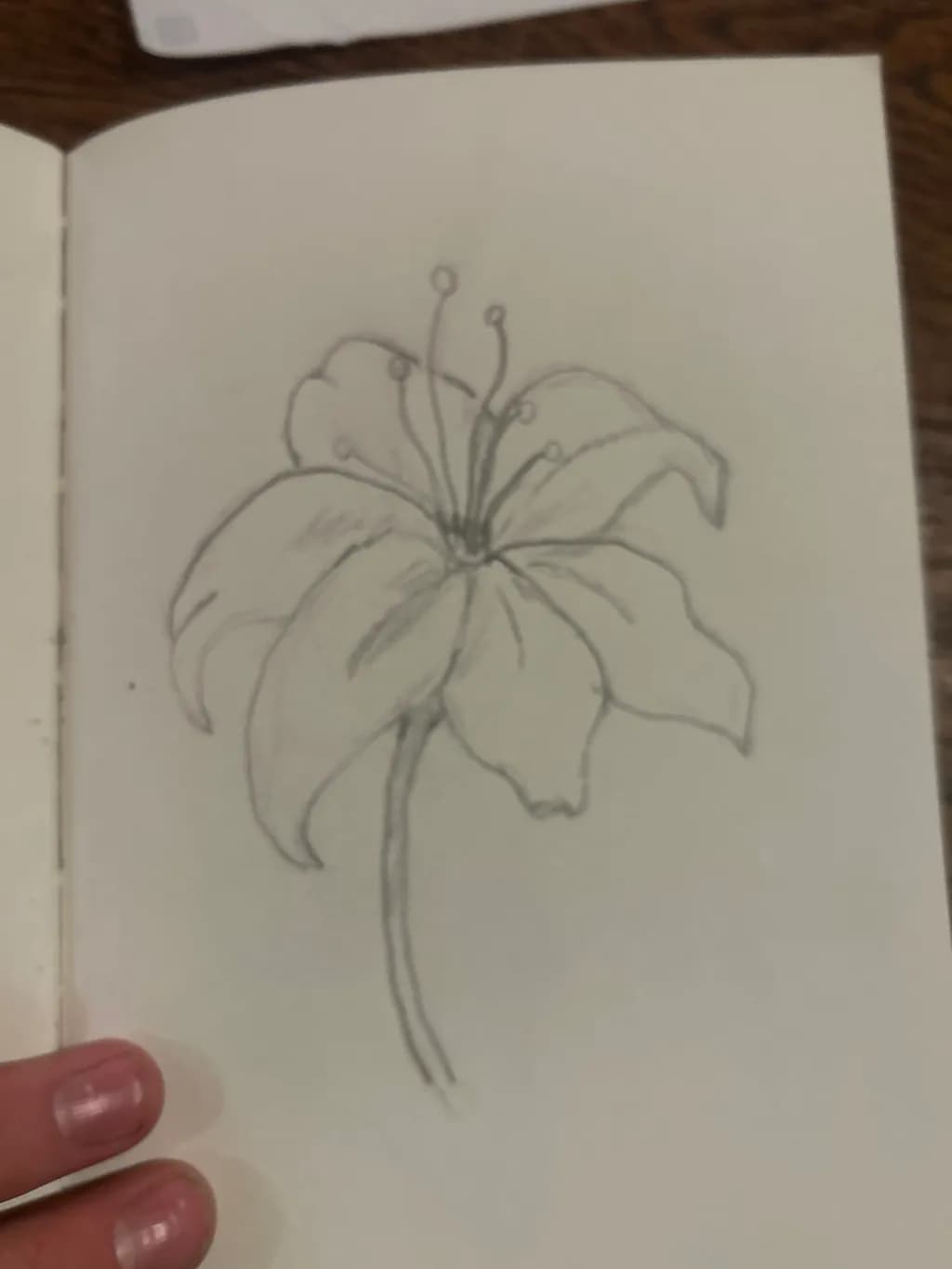 Curved Petal Bloom