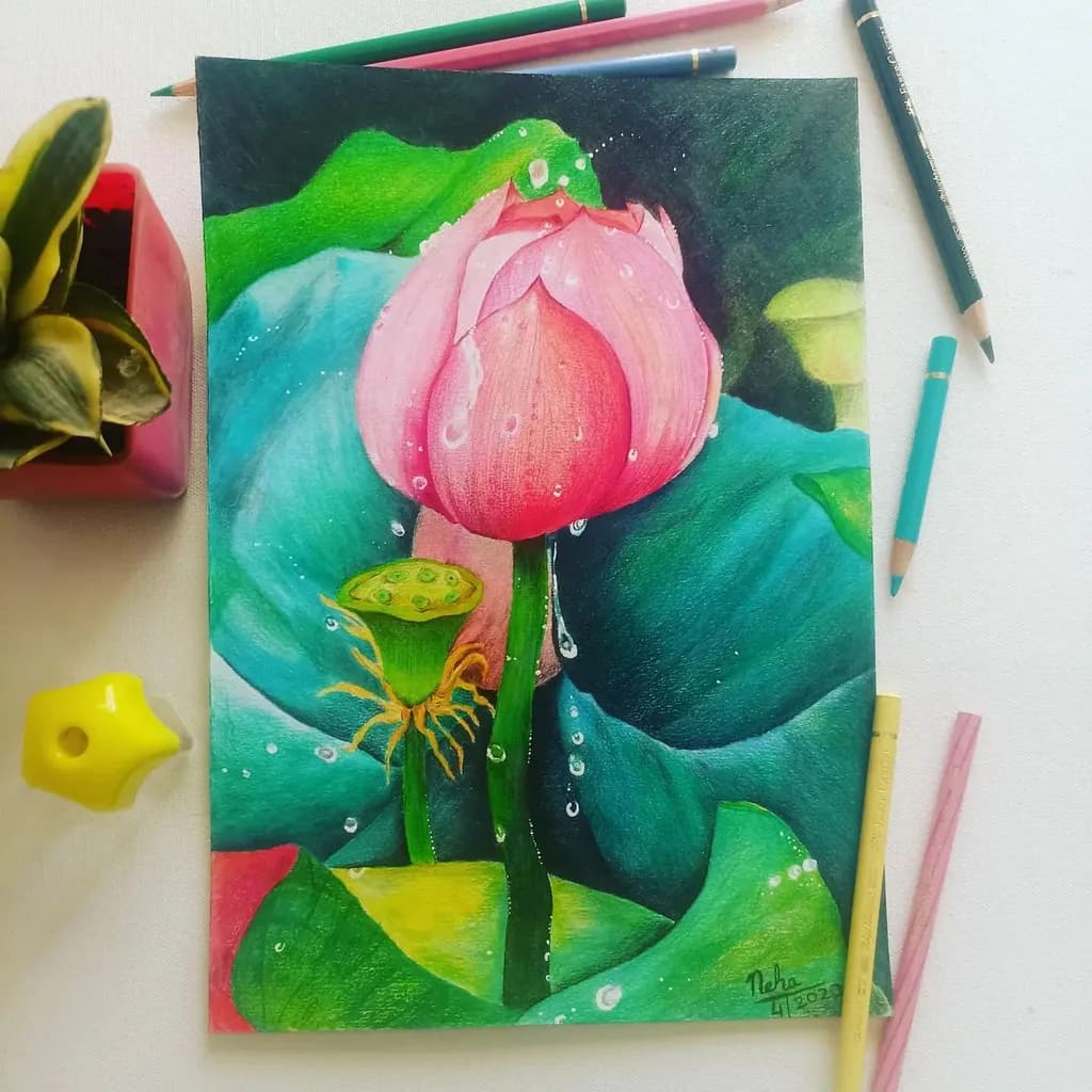 Lotus Dewdrop