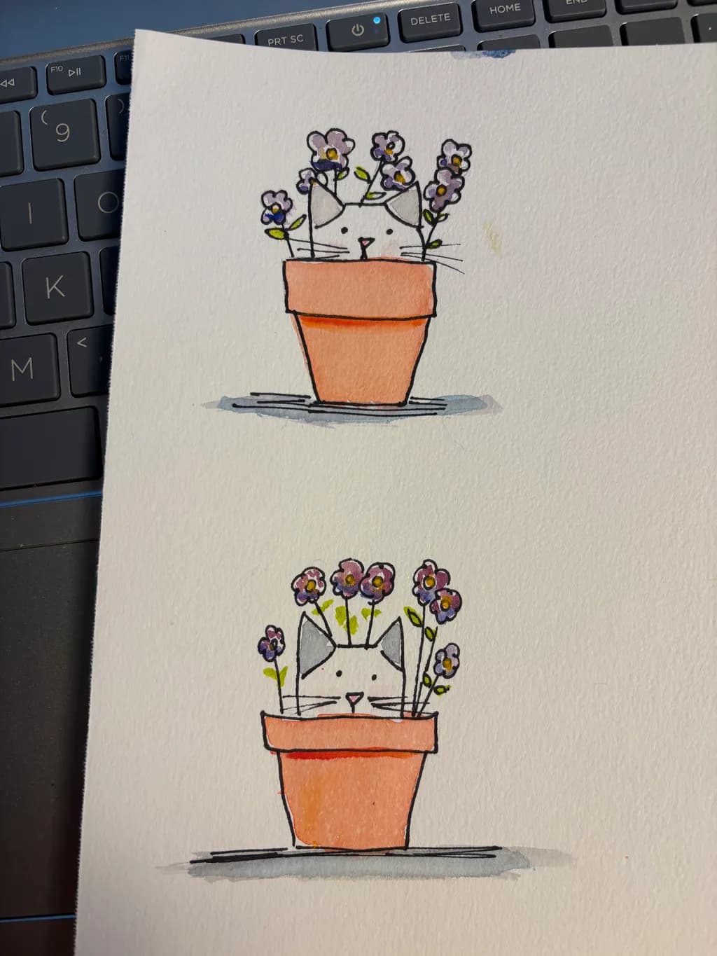 Petal Potted Cats