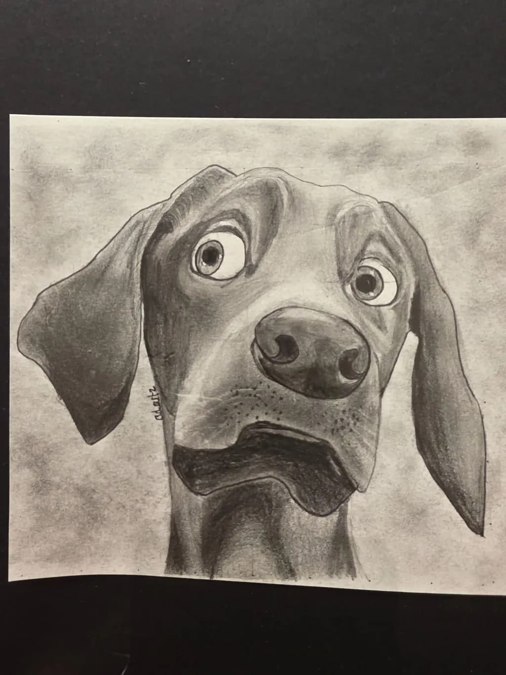 Curious Canine