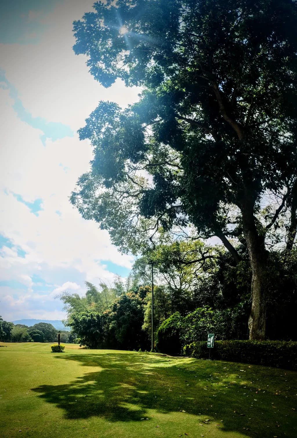 Putting Green Light