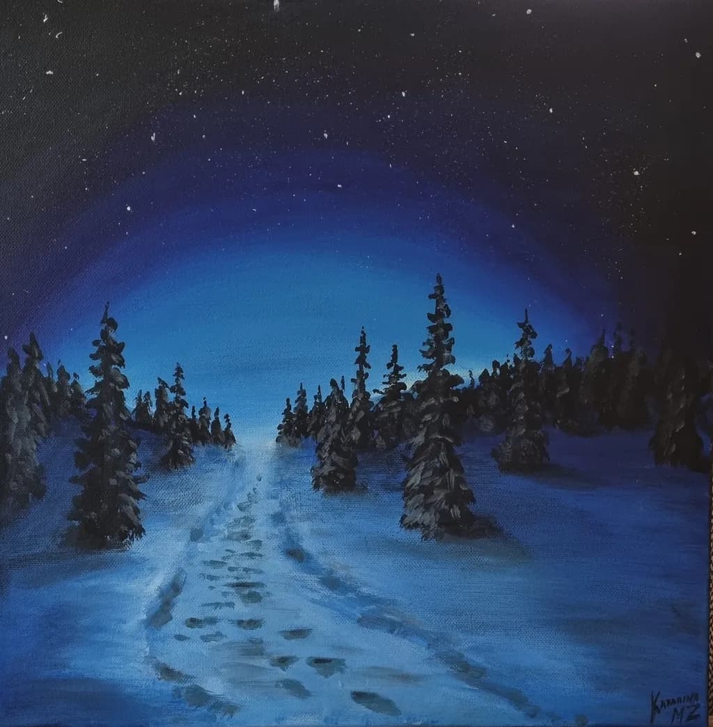 Silent Winter Path