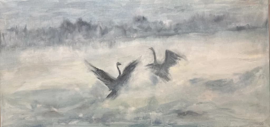 Misty Flight