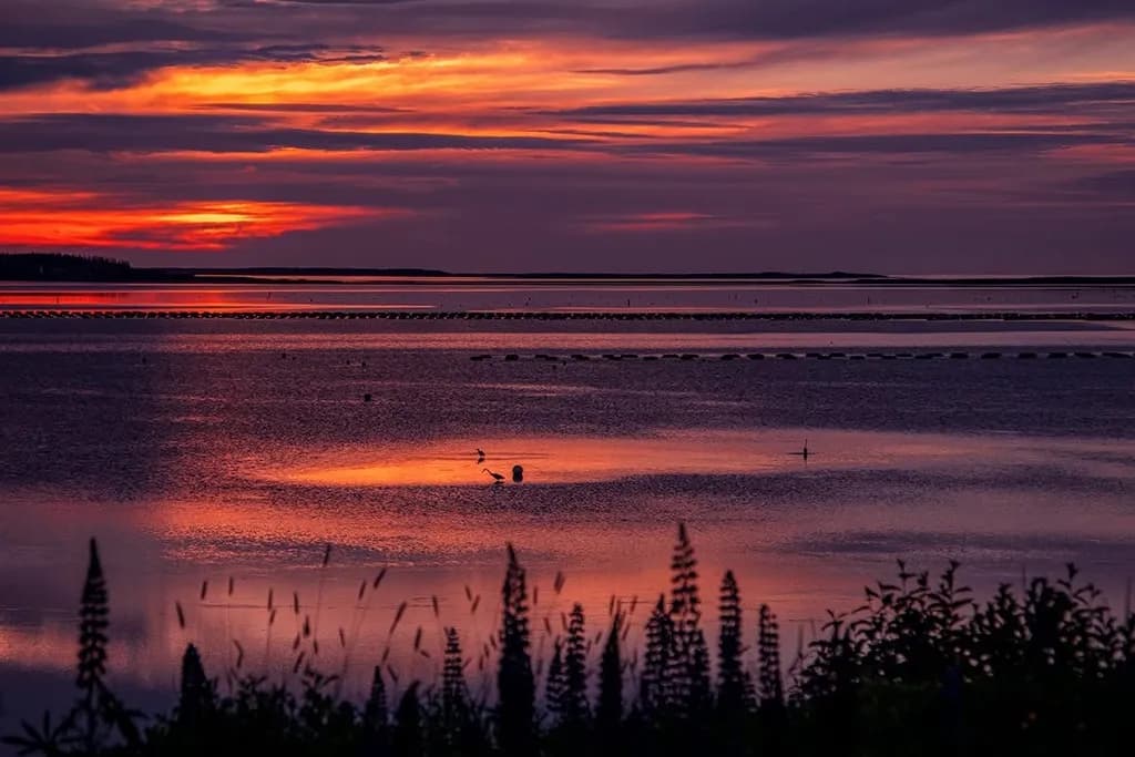 Sunset Over Water