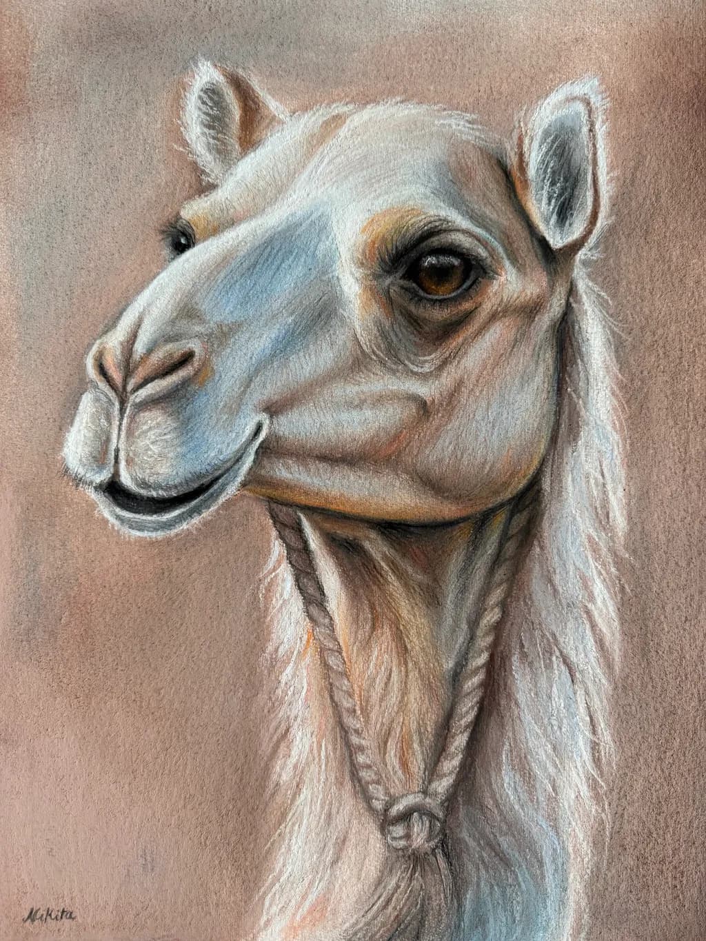 Desert Gaze