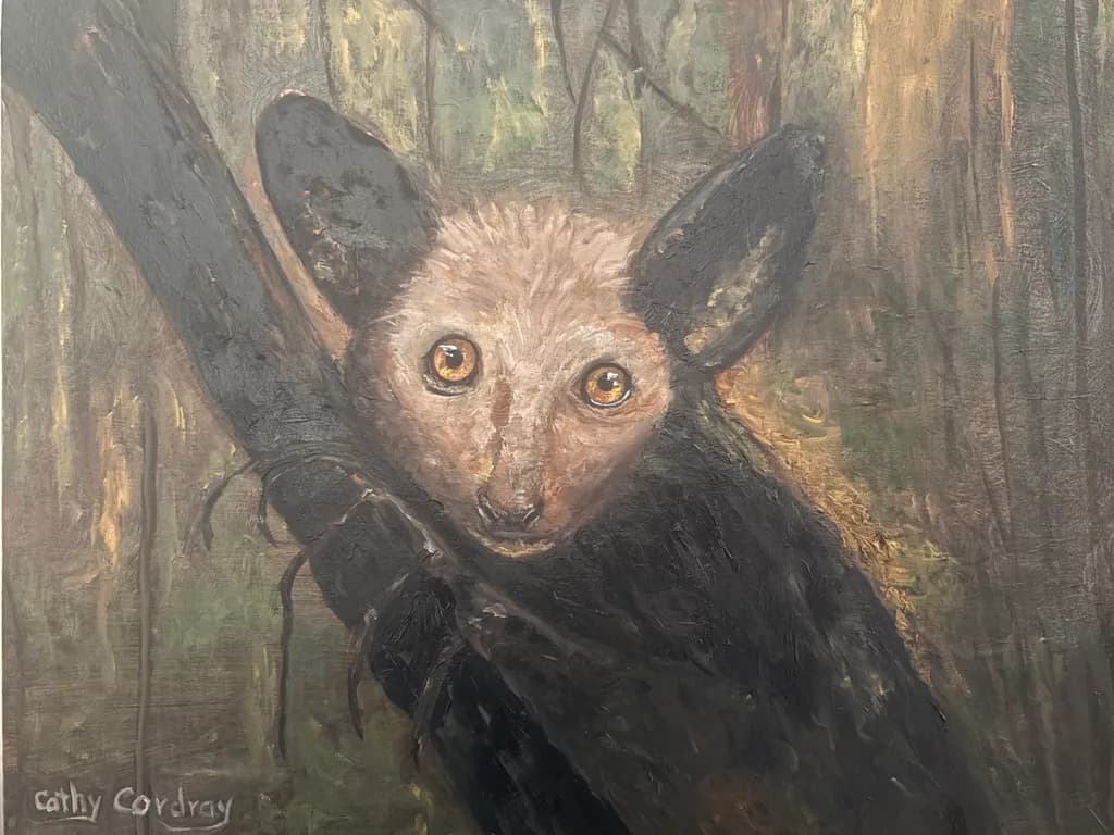 Forest Gaze