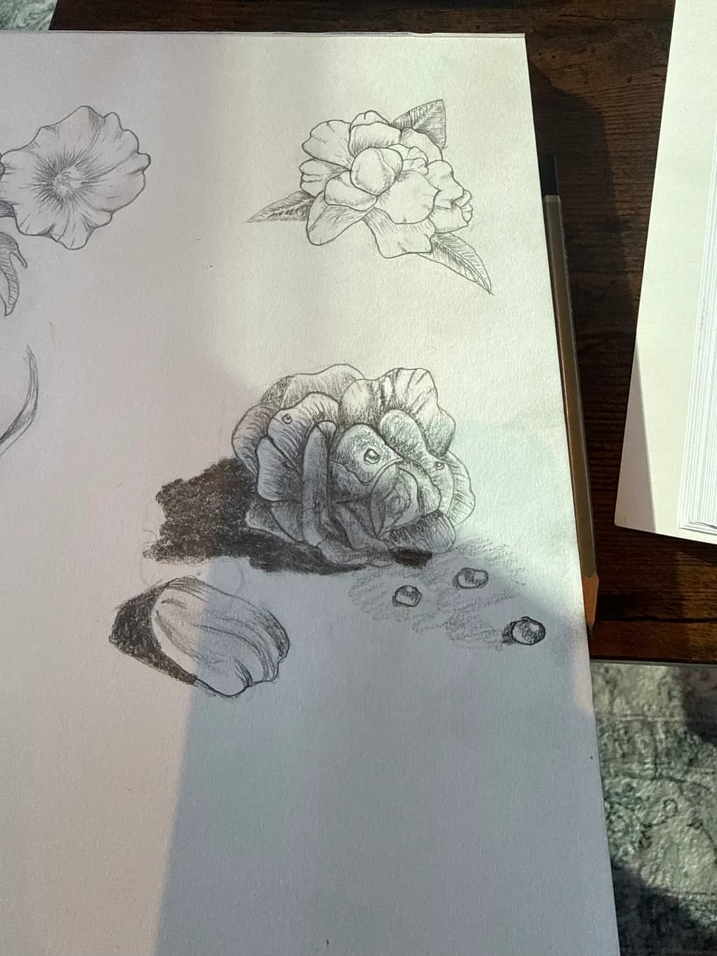 Floral Study
