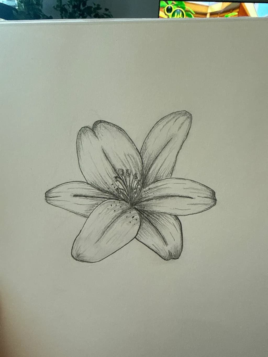 Botanical Blossom Sketch