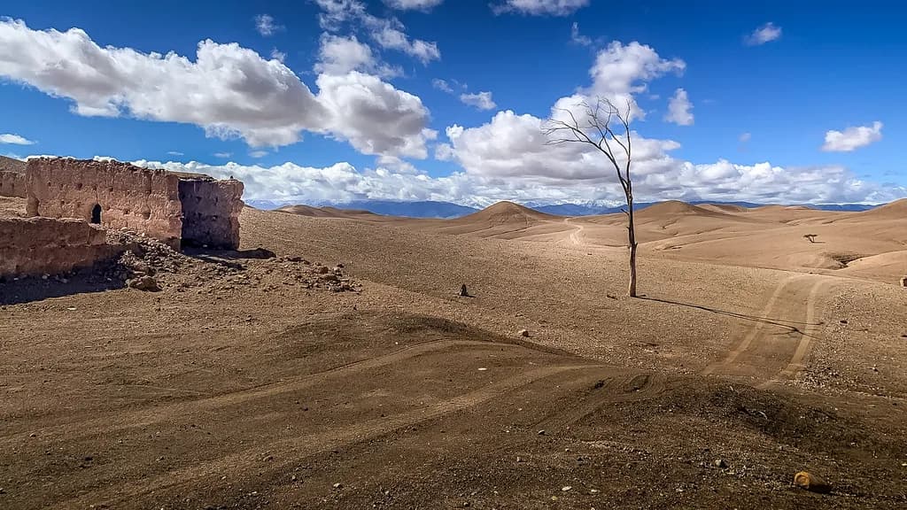 Desert Echoes