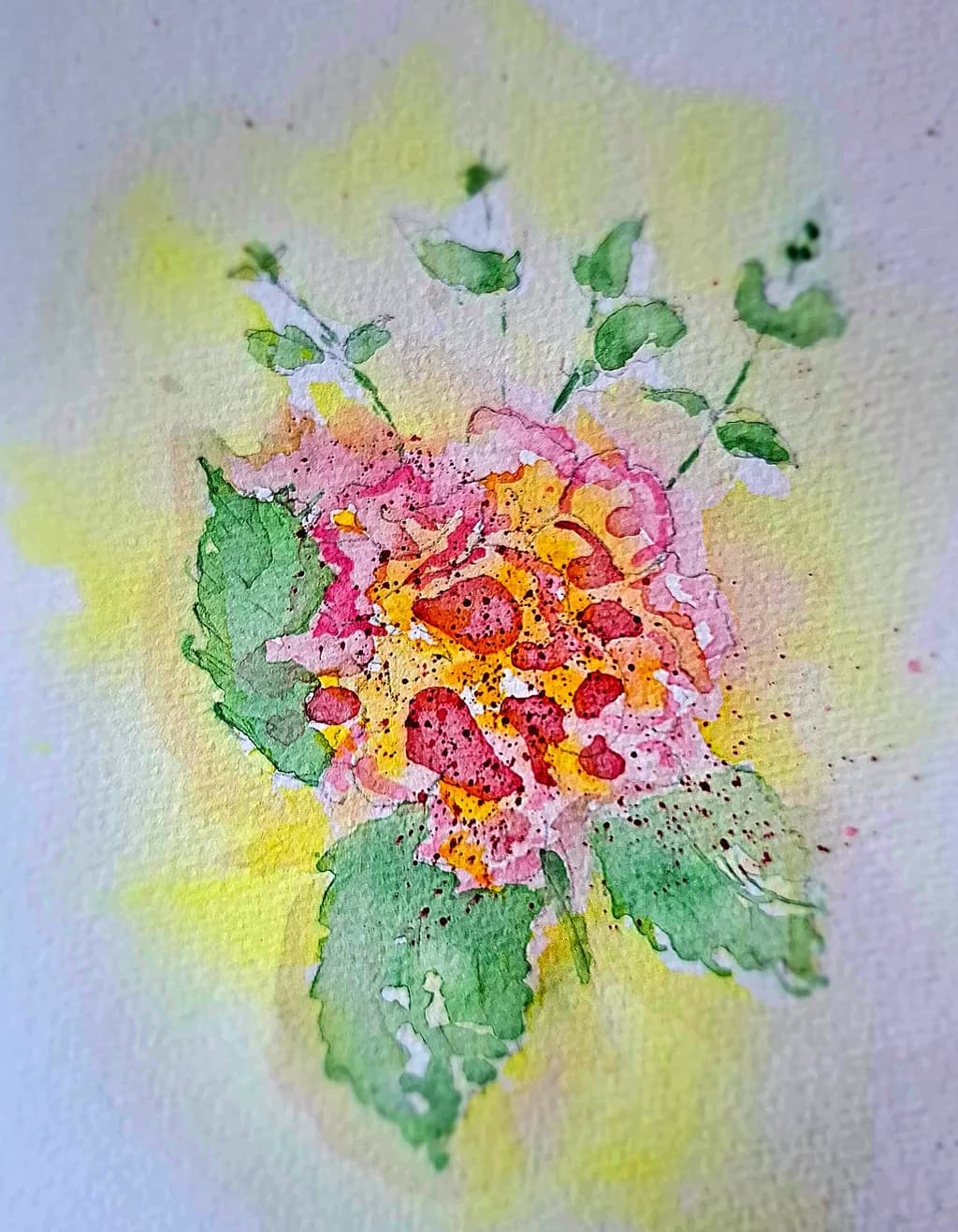 Sunlit Blooms