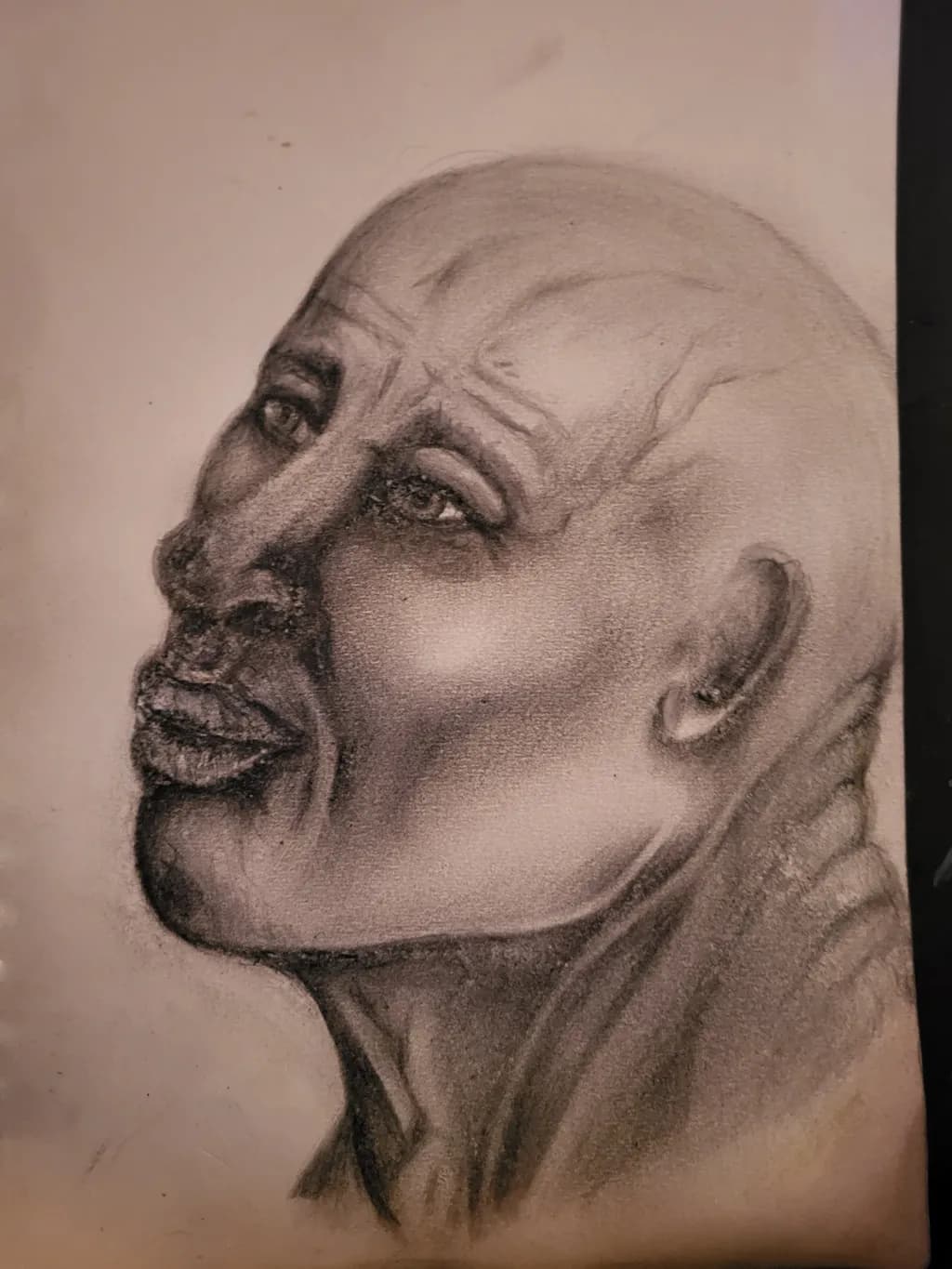 Contemplative Gaze