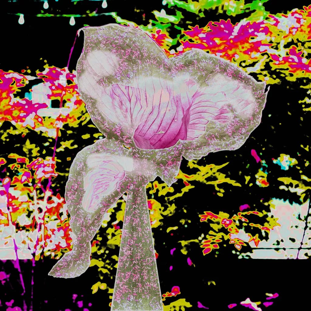 Neon Bloom