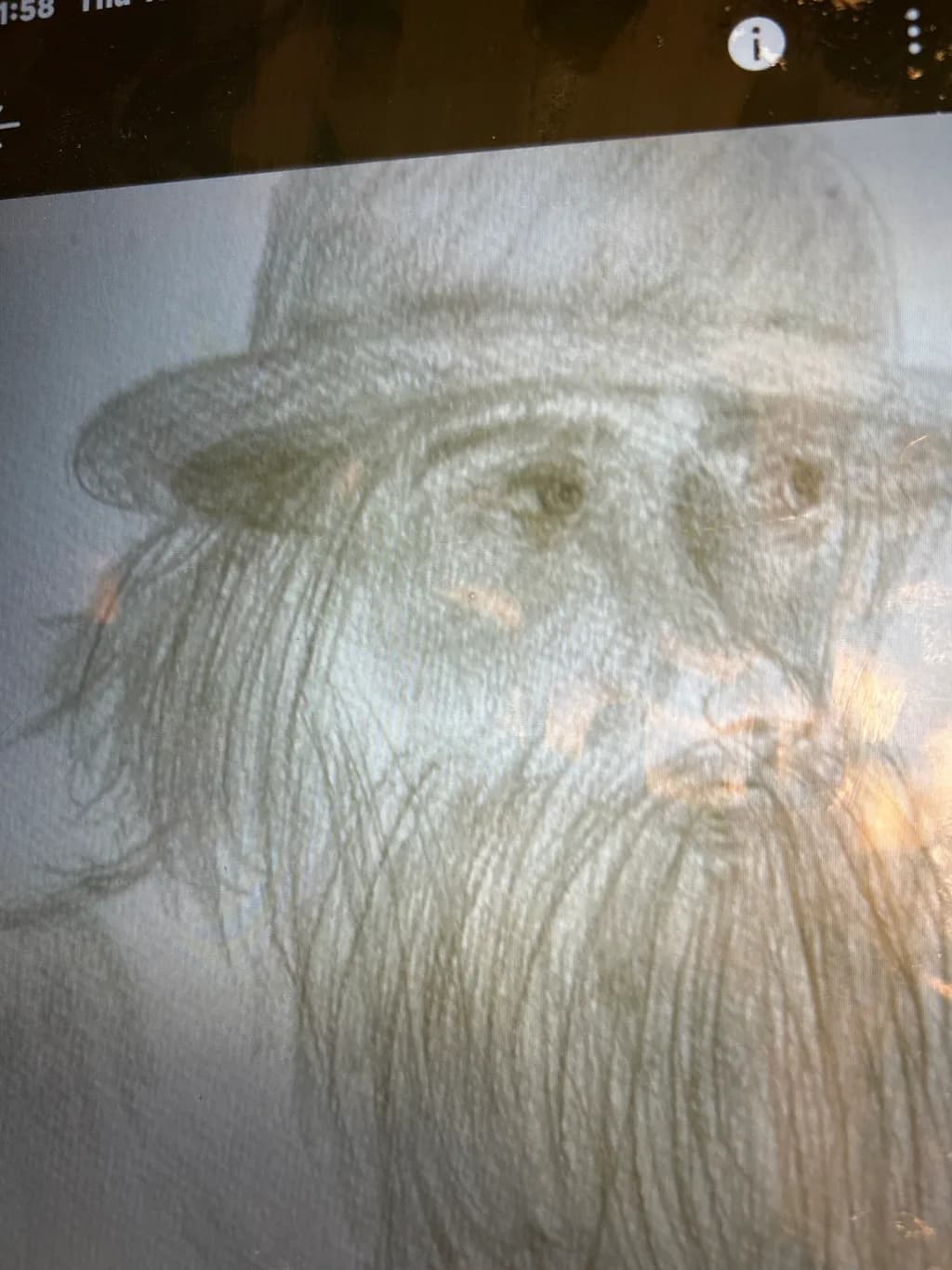 Pensive Bearded Man