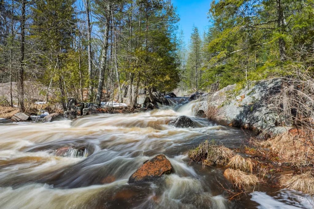 Forest Stream Rapids