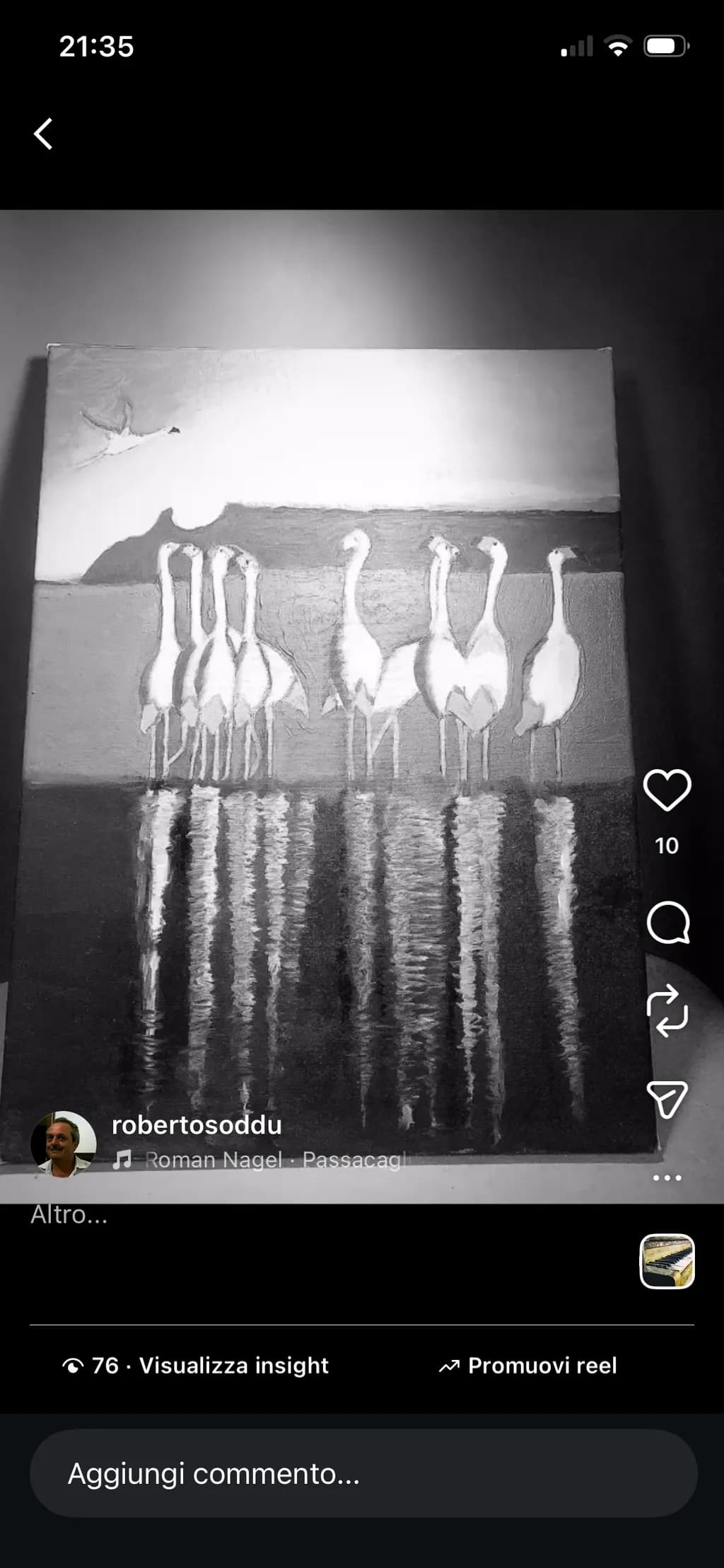 Flamingo Reflections