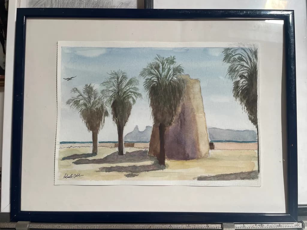 Desert Palm Shadows