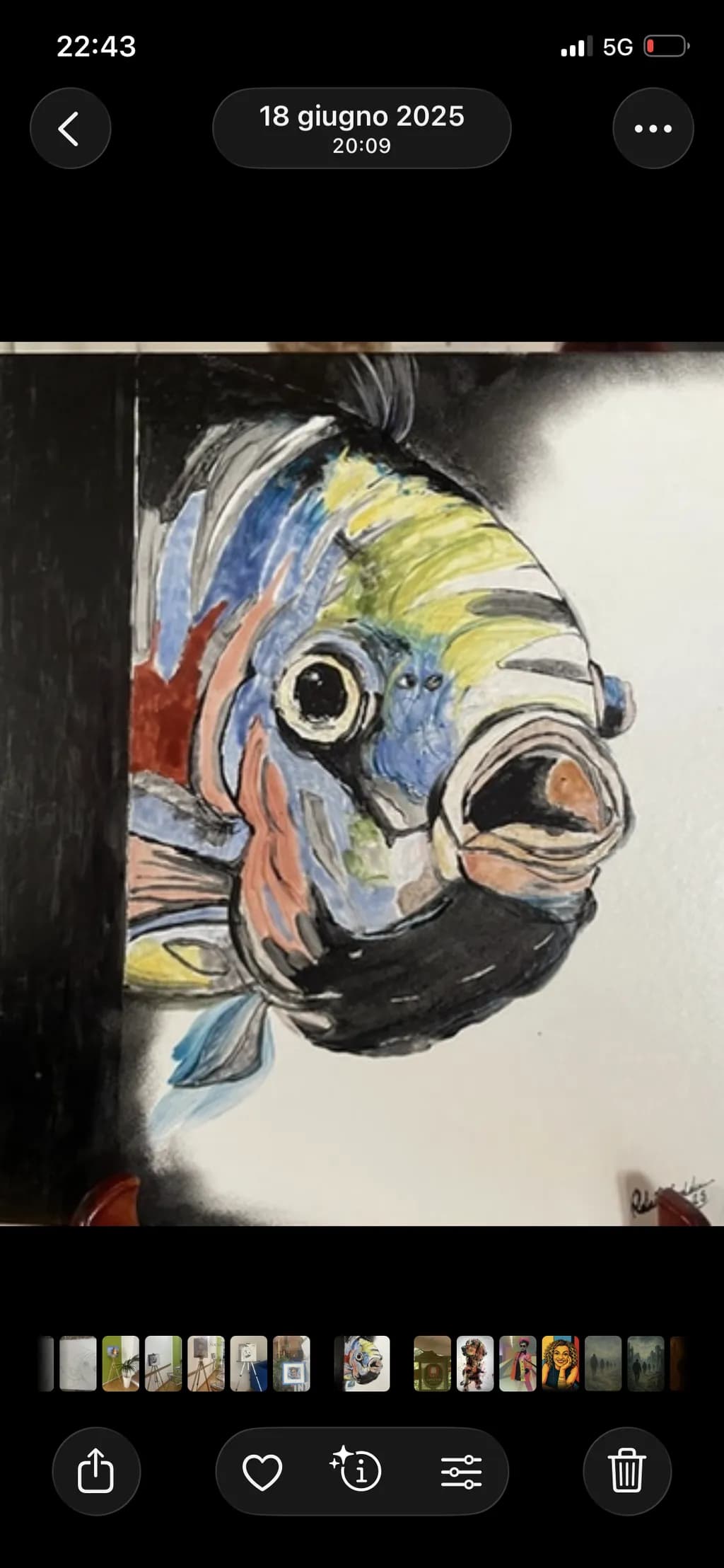 Colorful Fish Portrait