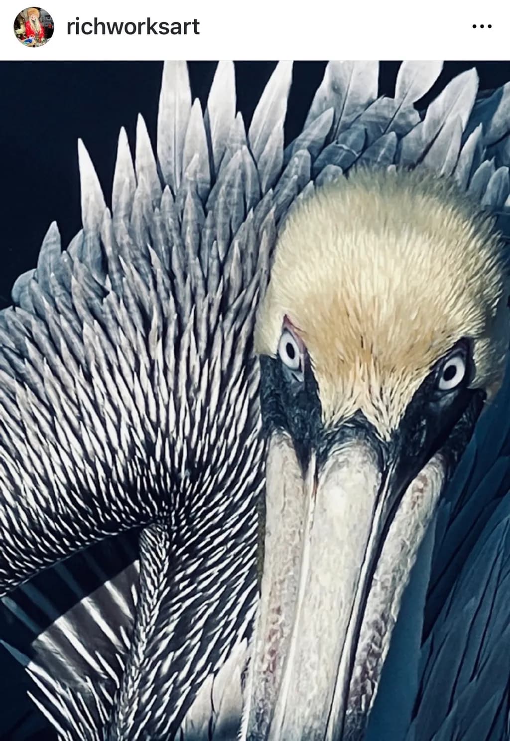 Feathered Sentinel