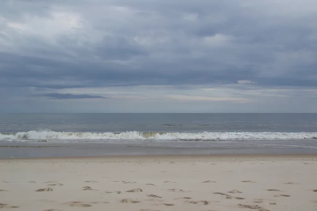 Hamptons Peace
