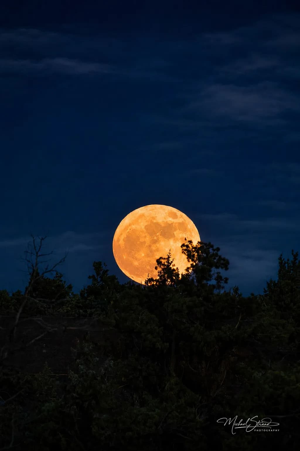 Strawberry Moon 2026