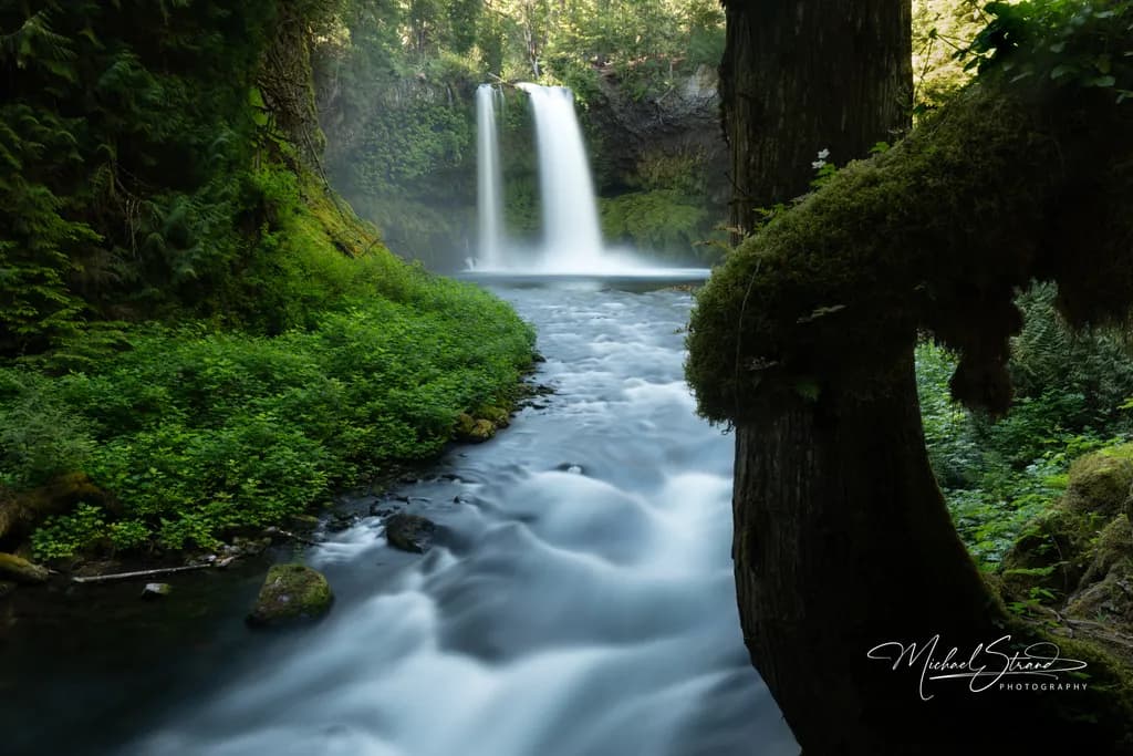 Mysterious Koosah Falls