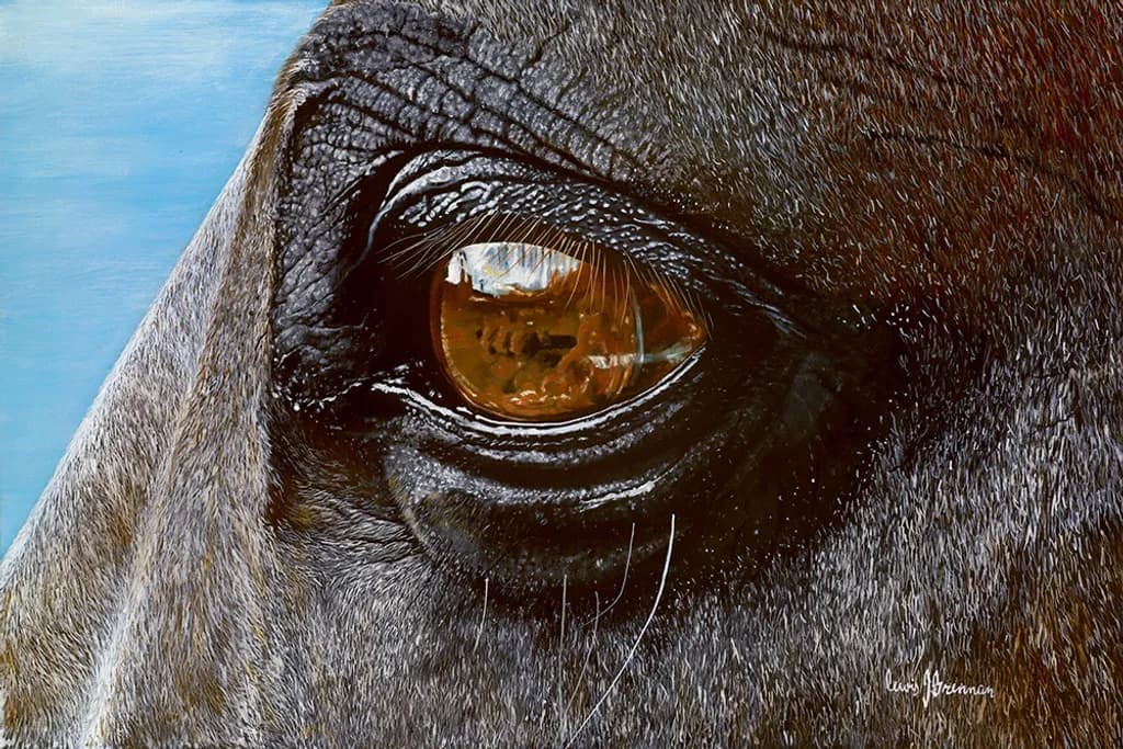 Eye for an Eye