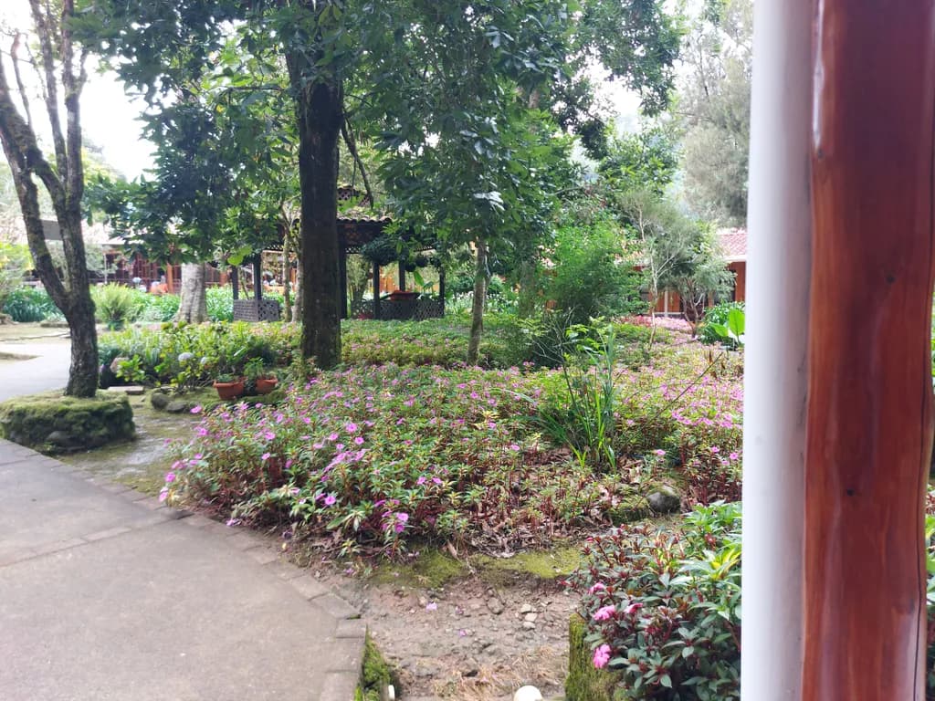 Garden Pathway