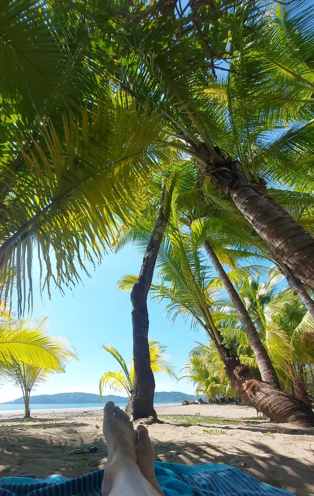 Tropical Repose