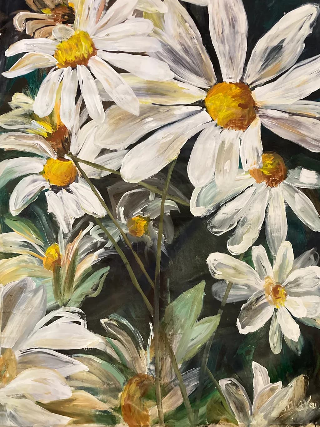 Hello You Daisies