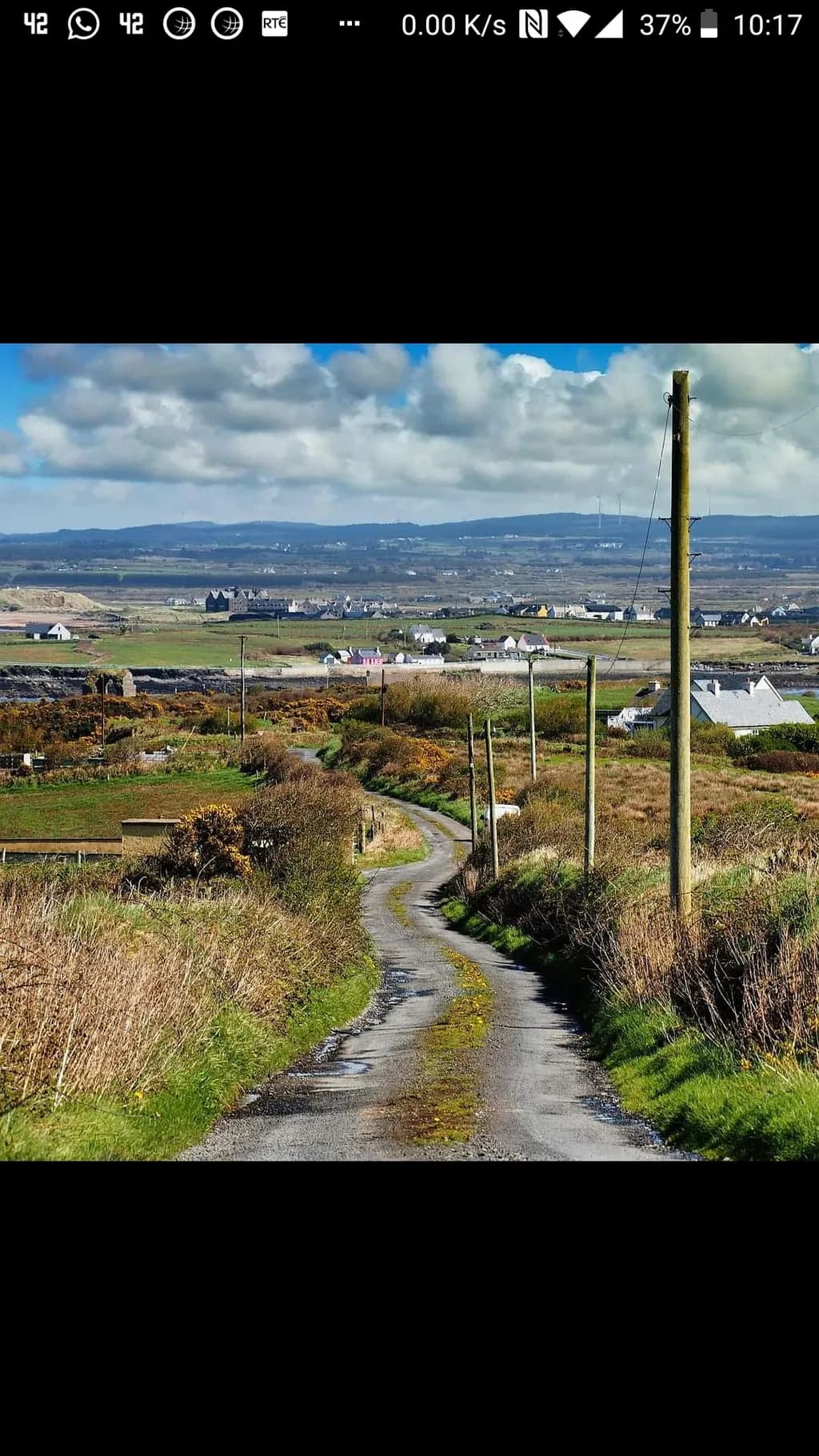 Winding Country Lane