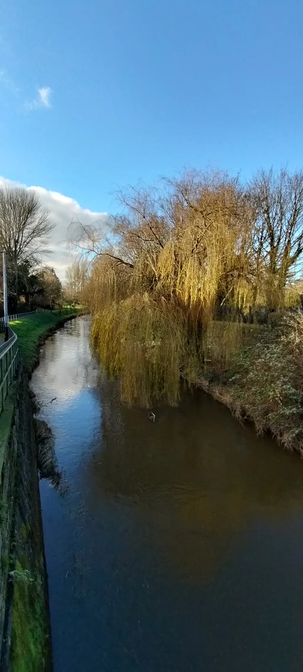 Winter Riverside