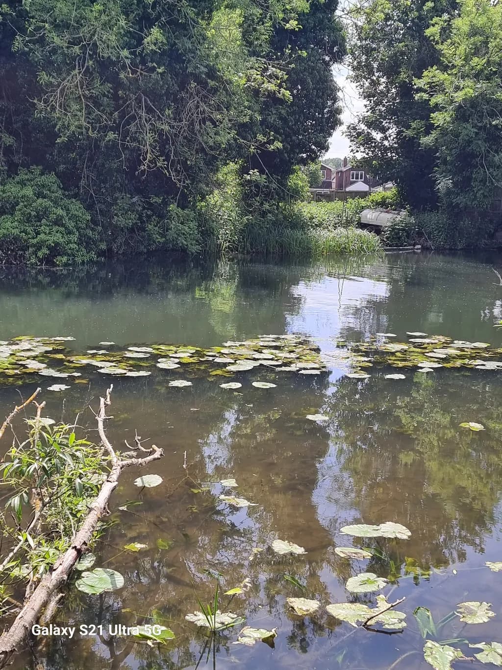 Reflective Pond