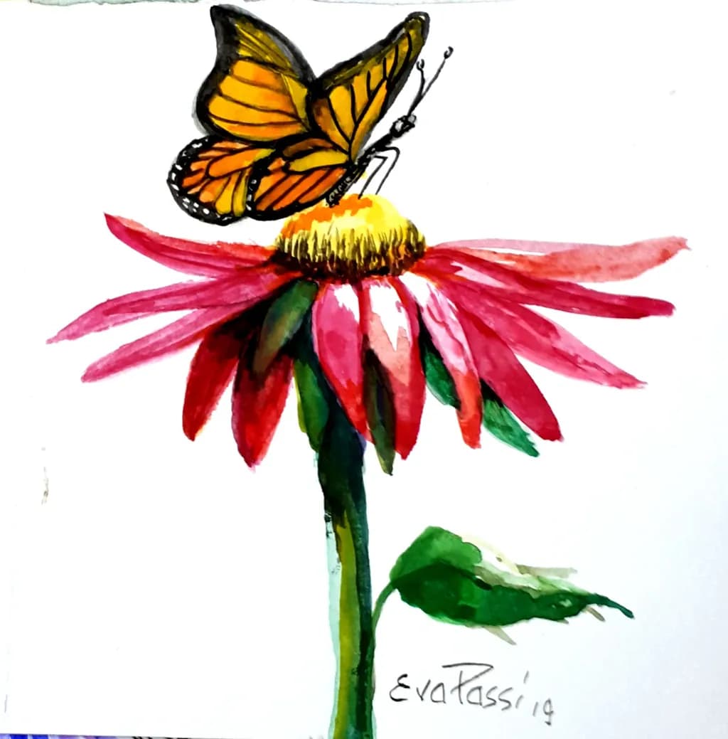 Monarch on Coneflower