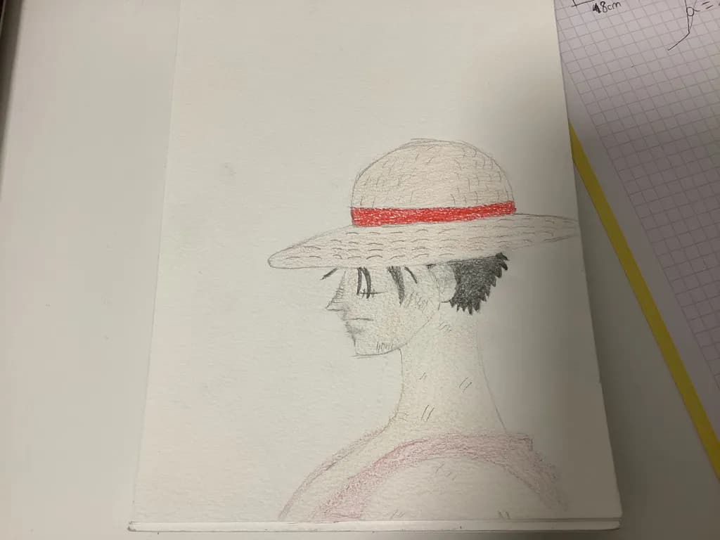 Straw Hat Profile