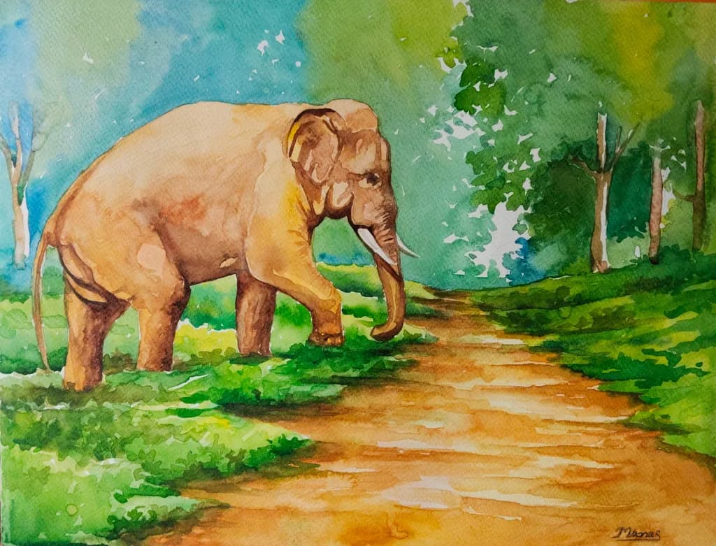 Forest Path Elephant