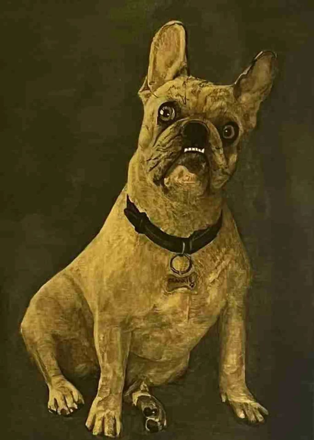 Alert Companion