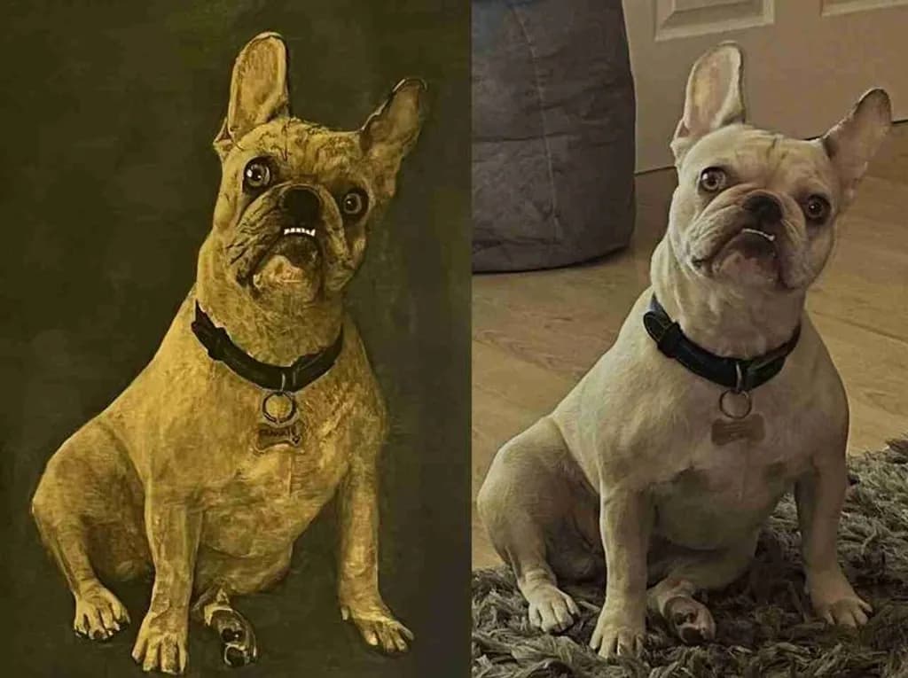 Dual Canine Echo