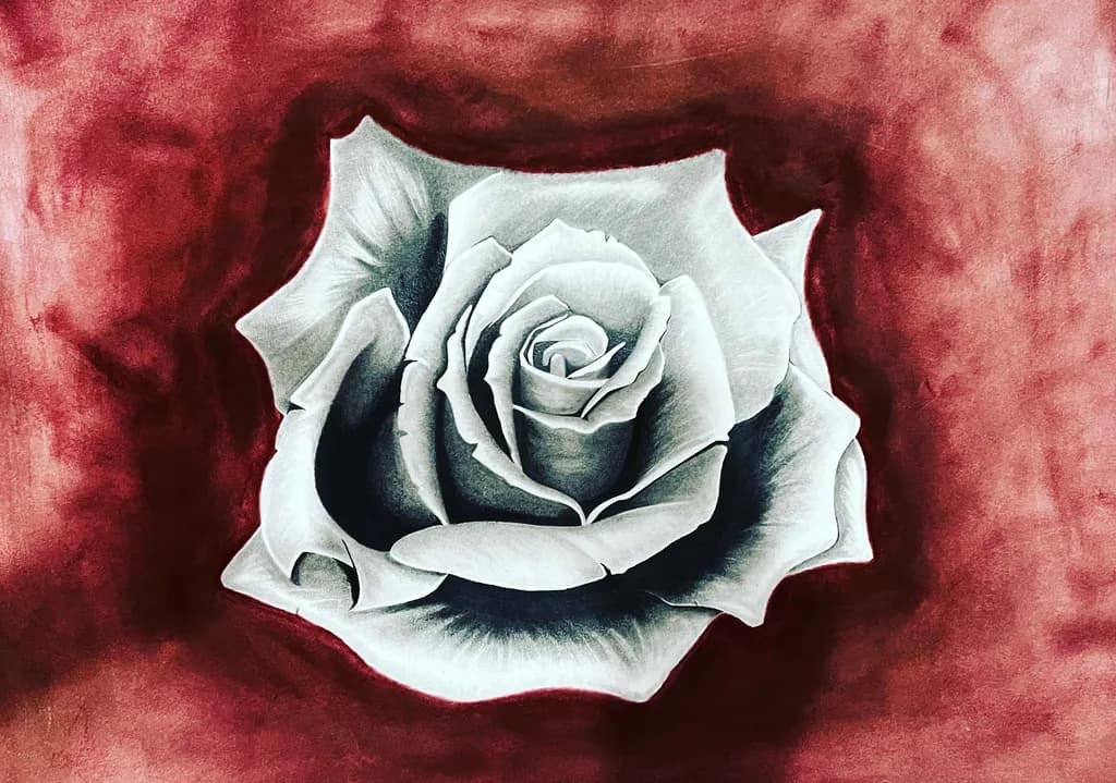 Monochrome Rose