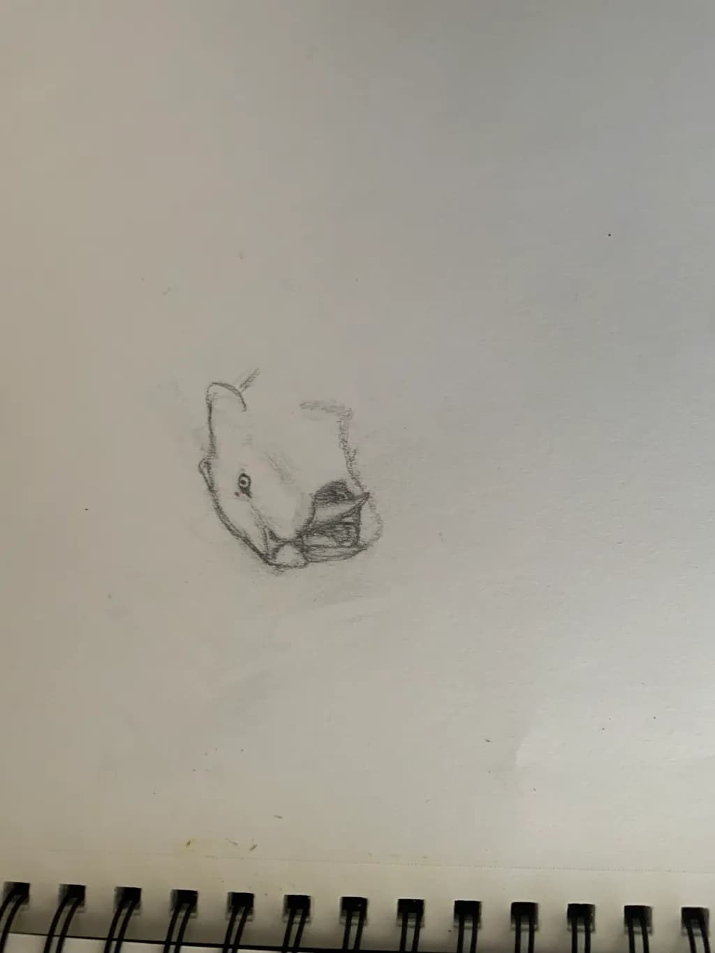 Elephant Concept Sketch