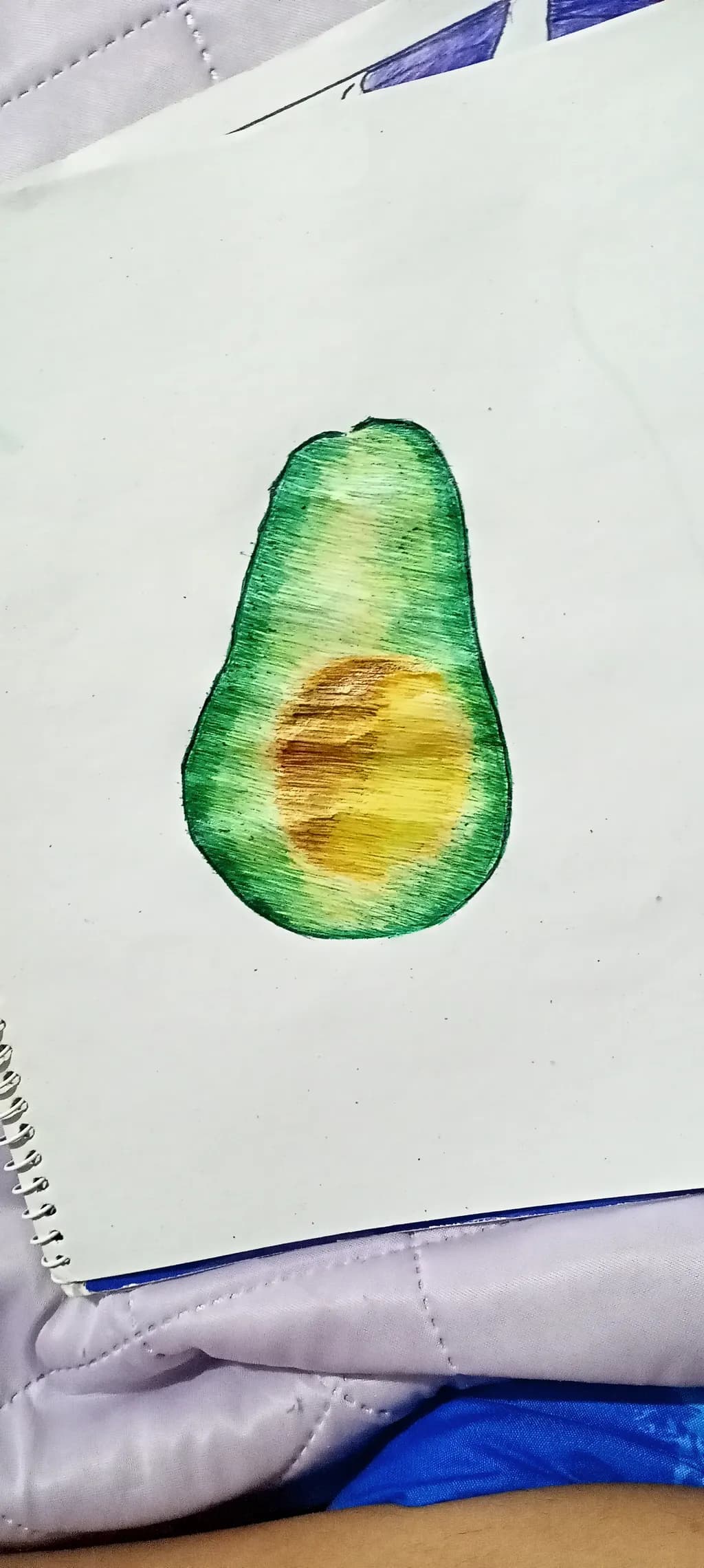 Avocado Sketch