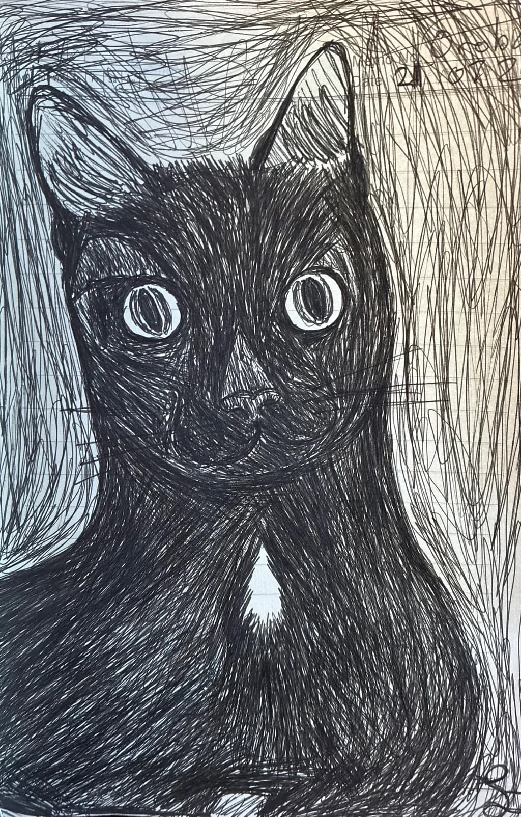 Black Cat Portrait