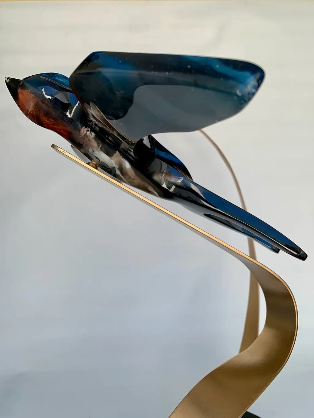 Soaring Reflection