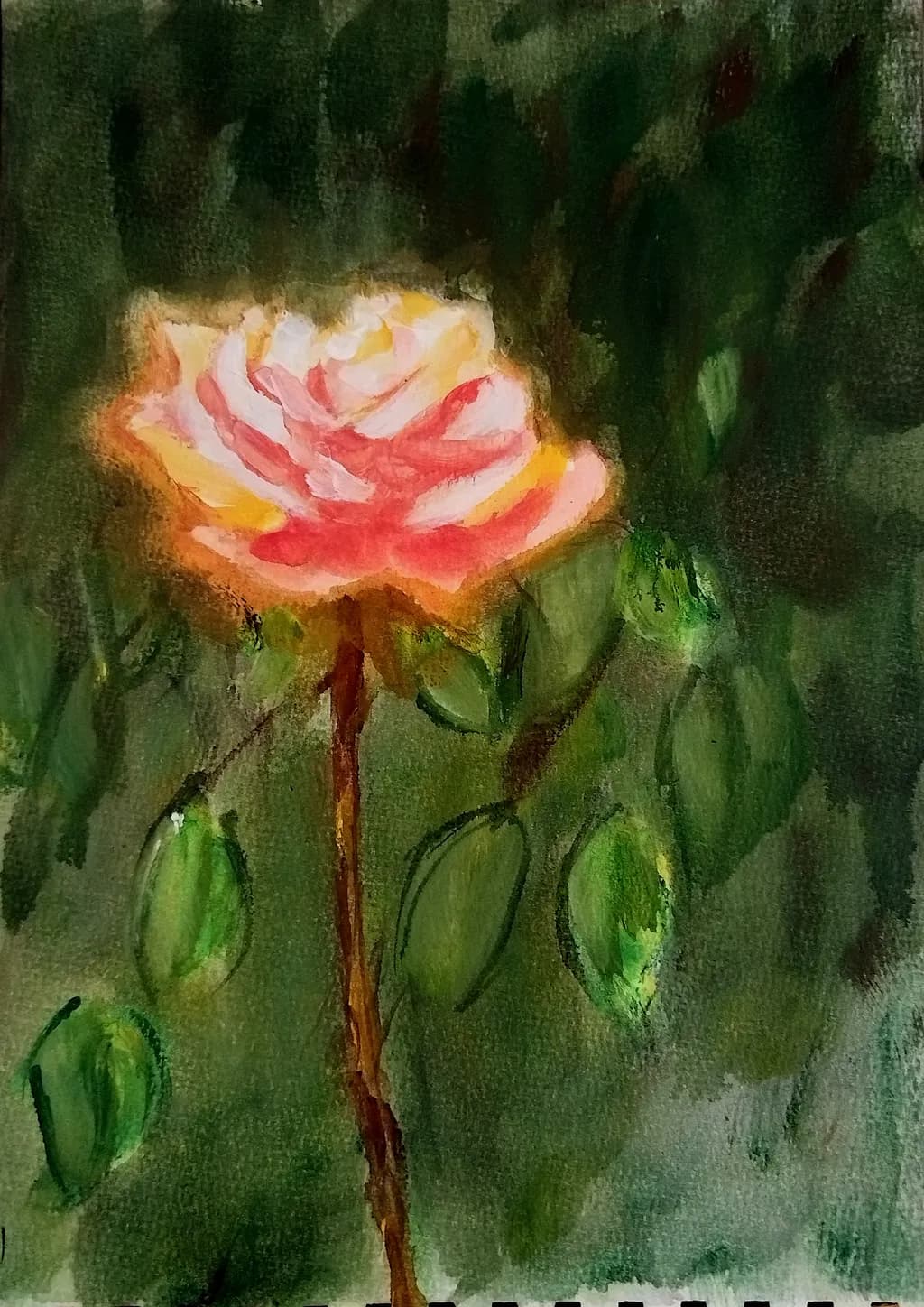 Blushing Rose