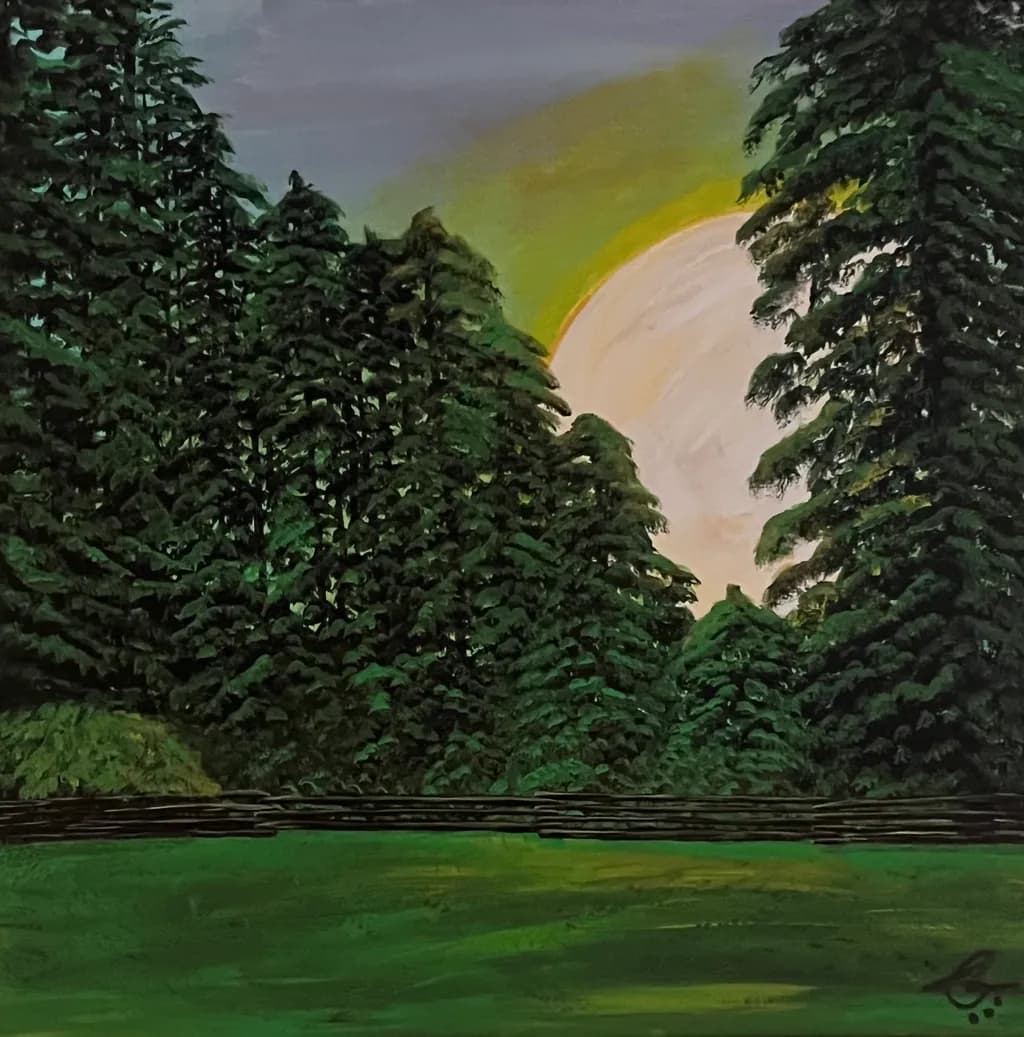 Forest Glow Sunset