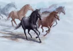 Gallop in Motion