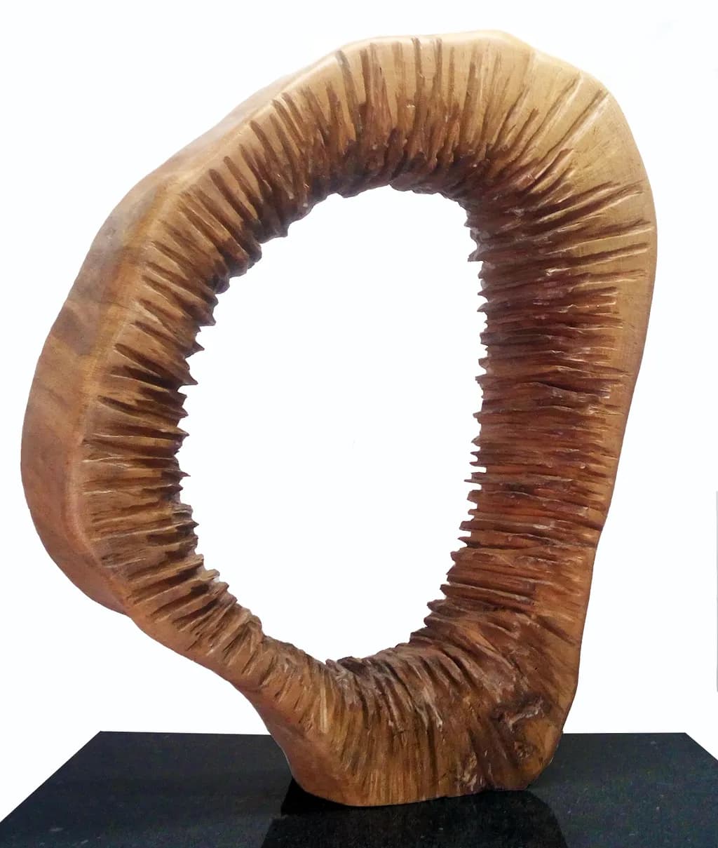 Echo Ring
