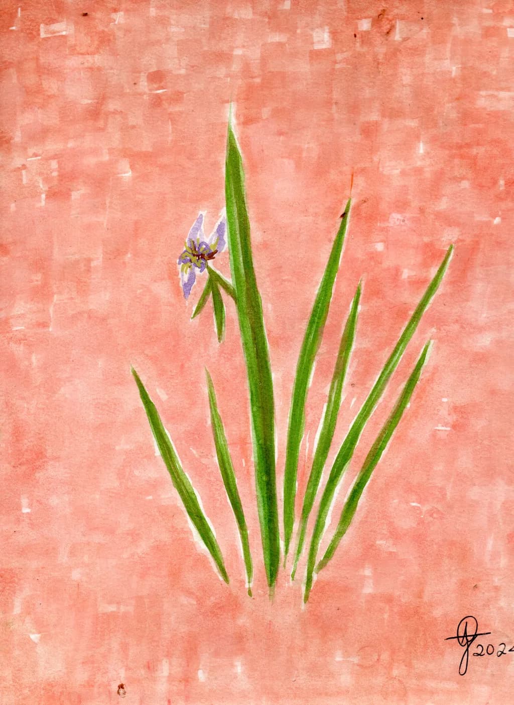 Orquidea Salvaje