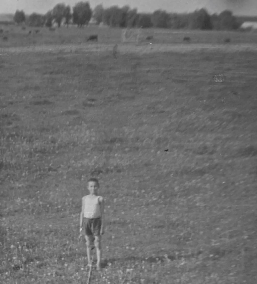 Silent Field