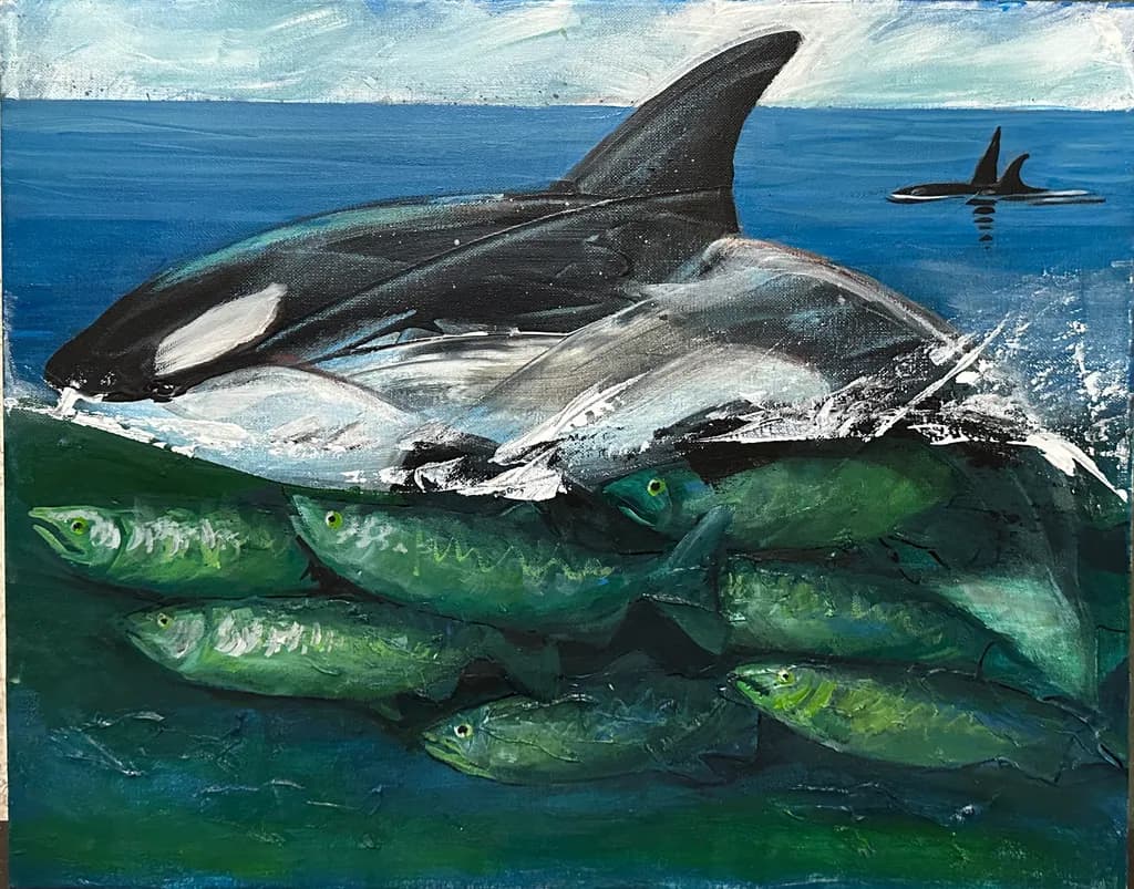Orca Pursuit