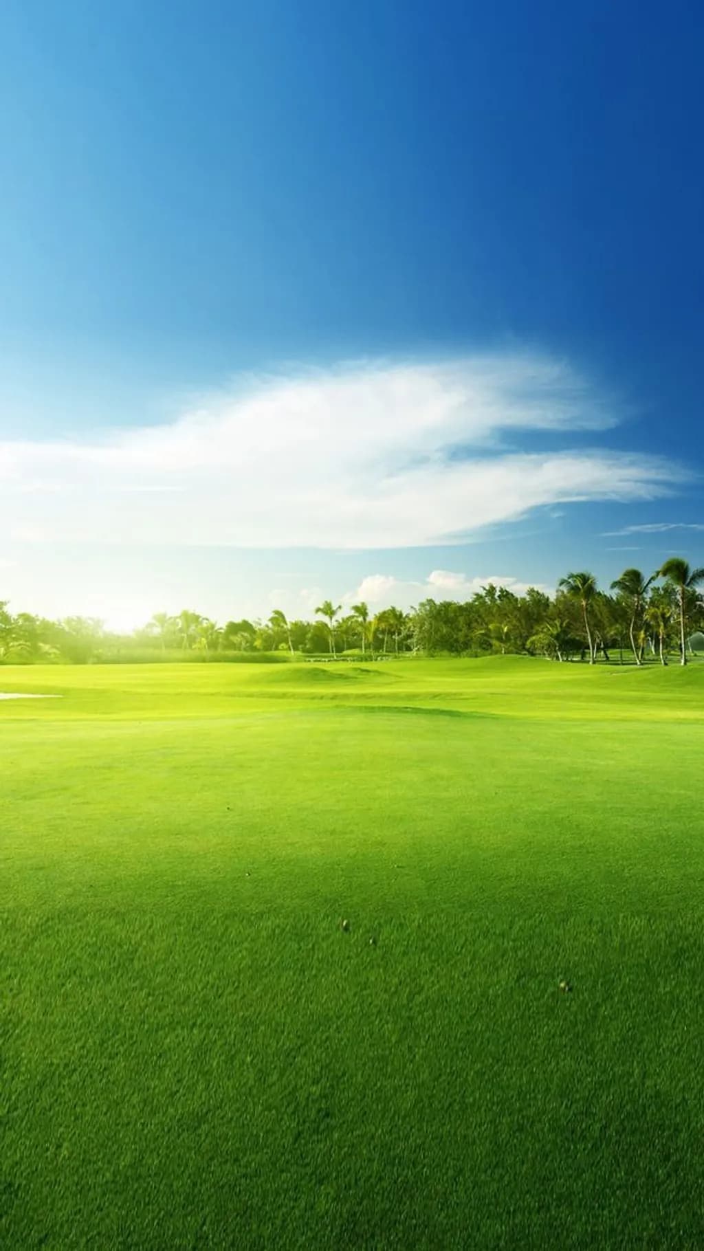 Sunlit Fairway